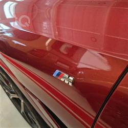 بي ام دبليو X6